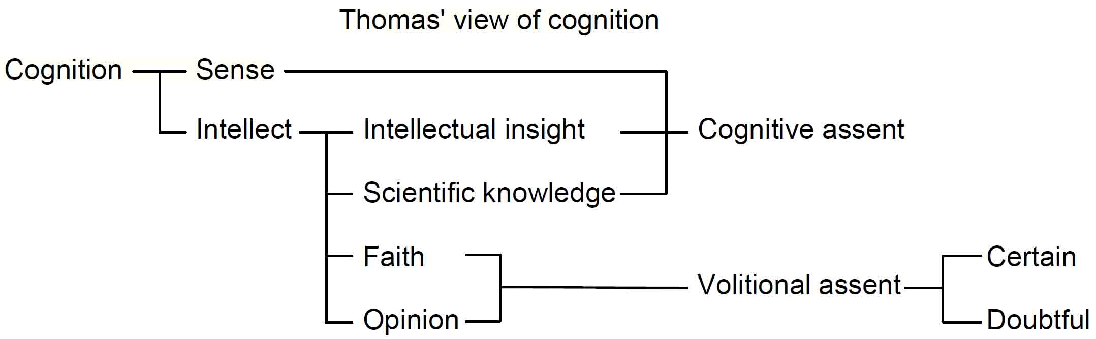 Thomas' view of cognition