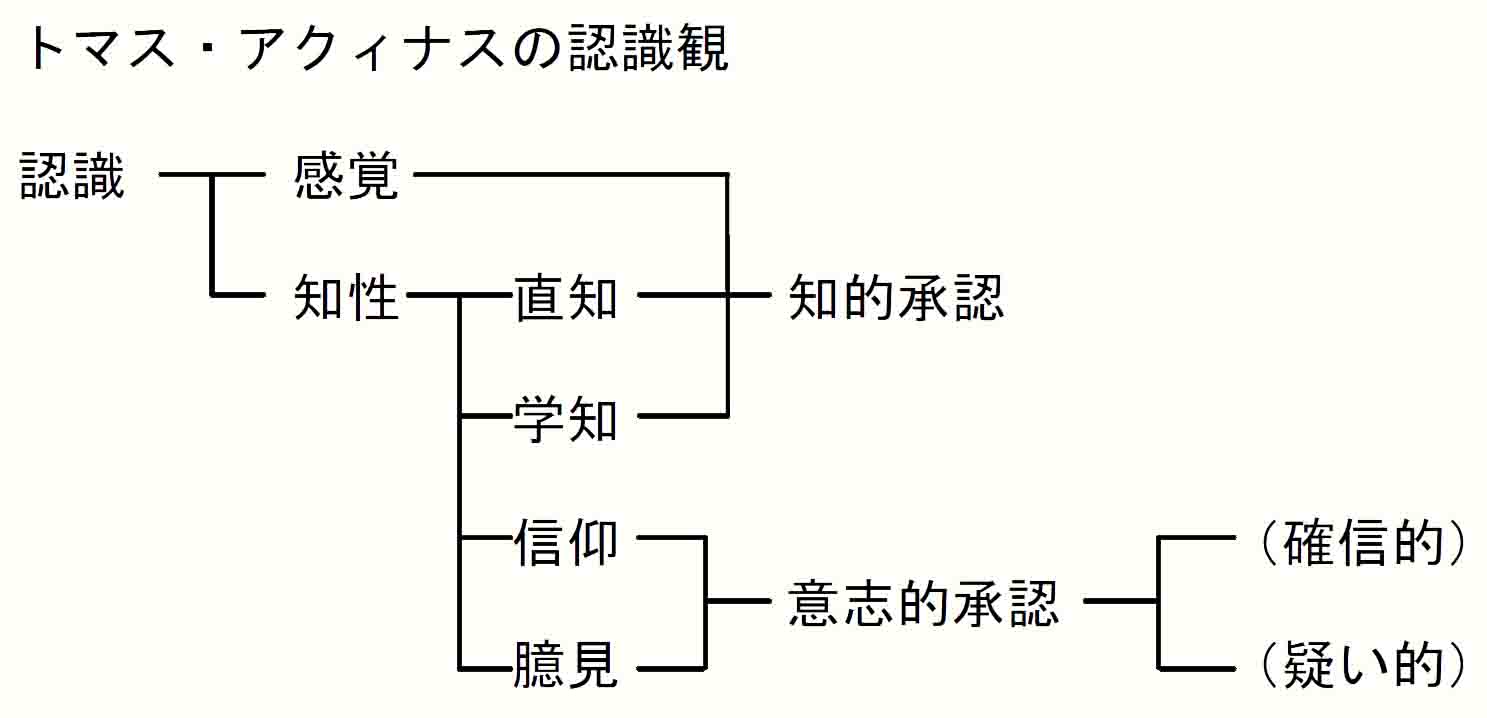 トマス・アクィナスの認識観