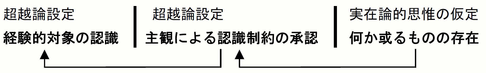 現象と物自体の超越論設定1