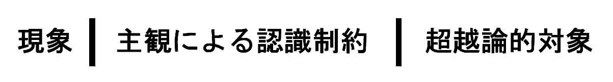 現象と物自体の超越論設定3