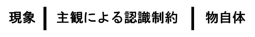 現象と物自体の超越論設定4